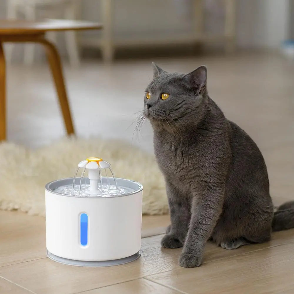 Automatic Pet Cat Water Fountain with LED Lighting, 5 Pack Filters, 2.4L USB, Dogs Cats Mute Drinker Feeder Bowl Drinking Dispen