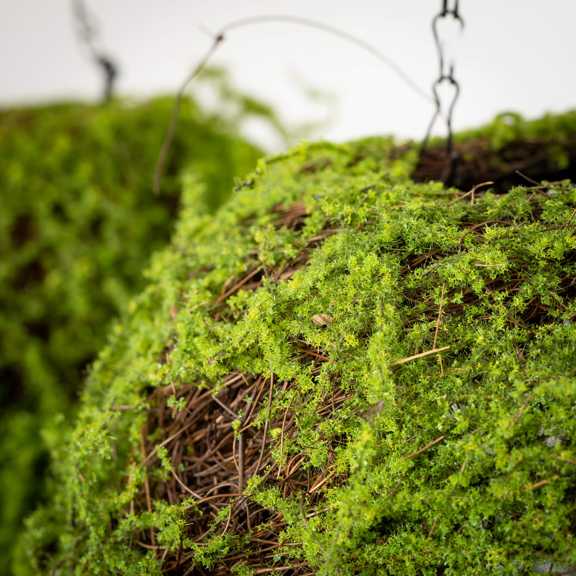 Moss Hanging Basket Orb Set