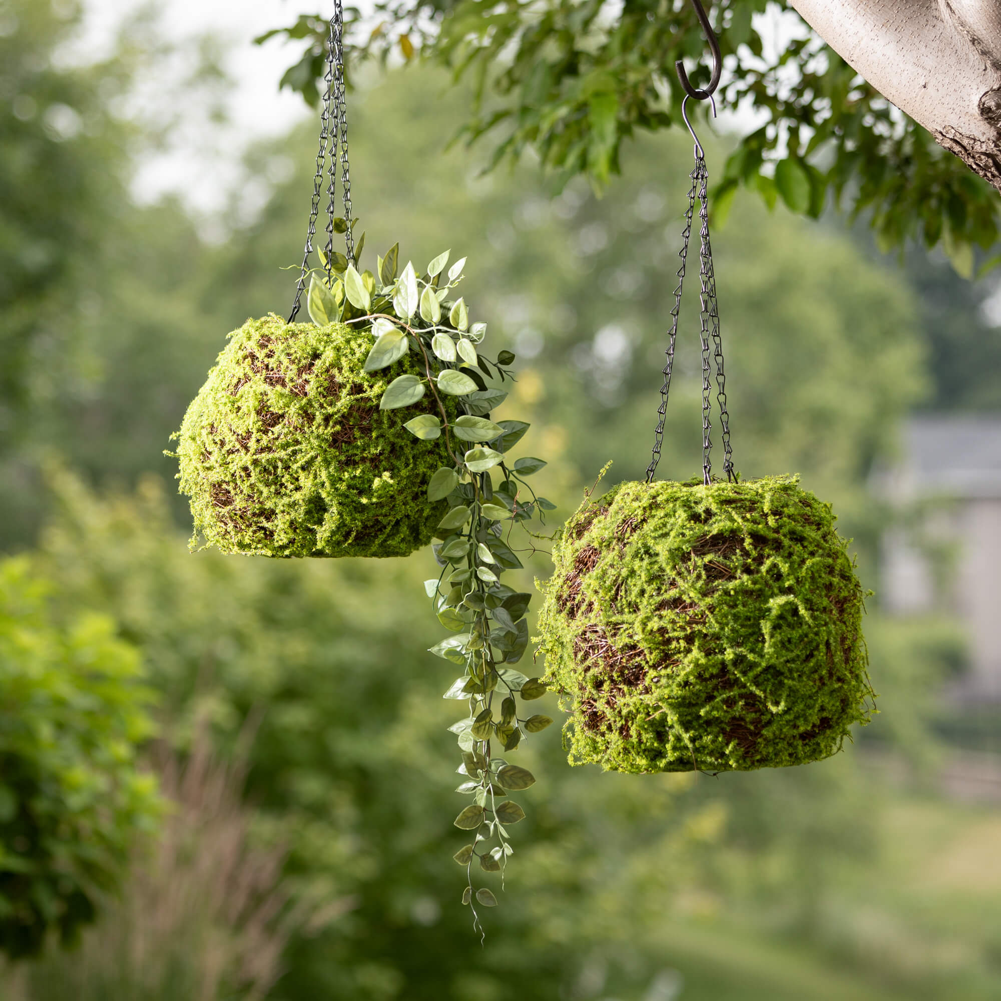 Moss Hanging Basket Orb Set