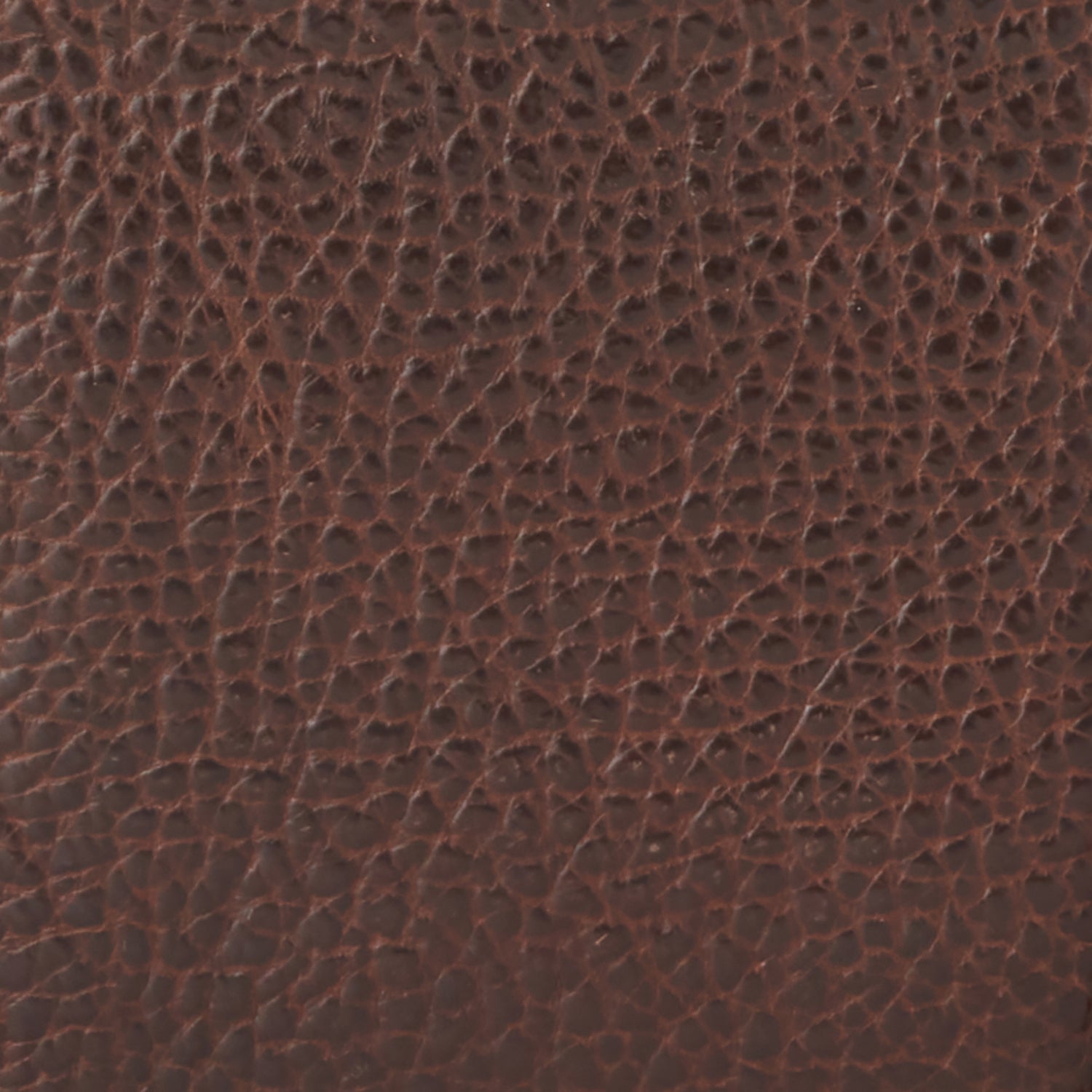 Pebbled Leather Cooler :: Brown